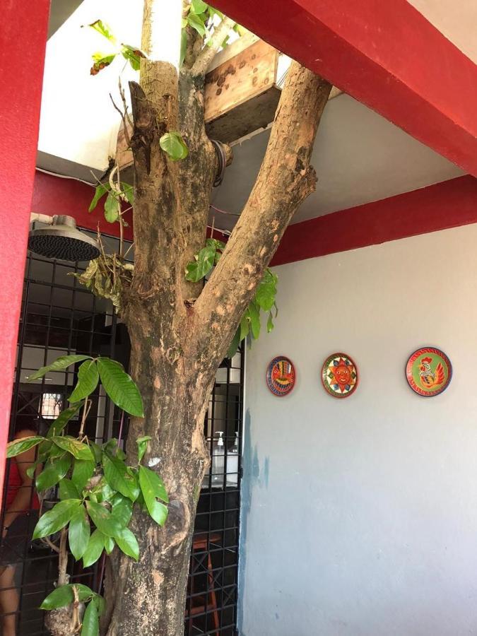 Pousada Porto Jambo Pôrto das Galinhas Exterior foto